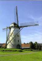 GIERLE Bij Lille (Antw..) - Molen/moulin - Historische Opname Van Molen ´In Stormen Sterk´ In 2005 Voor De Restauratie - Lille