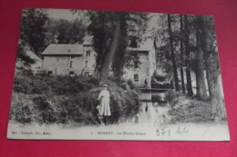 Cp Moigny Le Moulin Grenat - Noisiel