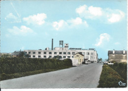 POUZAUGES (85. Vendée) - Quartier Gare De Pouzauges - Etablissements Fleury-Michon. - Pouzauges