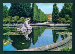 AUSTRIA  -  Vienna  Schonbrunn Palace  Unused Postcard As Scan - Château De Schönbrunn