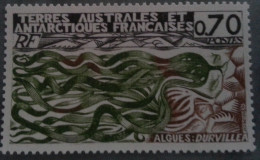 TAAF  -   Algues : DURVILLEA - Unused Stamps