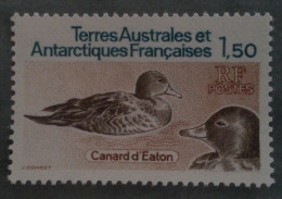 TAAF  -   Canard  D´eaton - Neufs