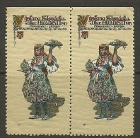 CZECHOSLOVAKIA 1915 Cinderella Vignette Im Paar MNH - Nuevos