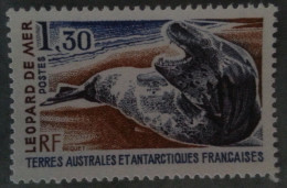 TAAF  -   Léopard  De  Mer - Unused Stamps