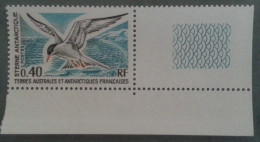 TAAF  -   Sterne Antarctique - Unused Stamps