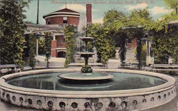 Fountain In Pompeian Garden Bradley Park Peoria Illinois 1913 - Peoria