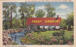 Trout And Water Wheel At The Bluie Hole Castalia Ohio - Other & Unclassified