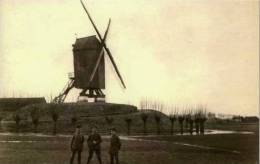 MOORSELE (W.Vl.) - Molen/moulin - Maxikaart Van De Oude Molen Of Ballockmolen, Vernield In 1918. - Wevelgem