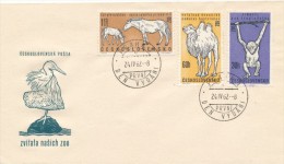 Czechoslovakia / First Day Cover (1962/05 B), Praha 1 (c): Animals Czechoslovak ZOO (horse, Camel, Chimp), Pelican - Pelicans