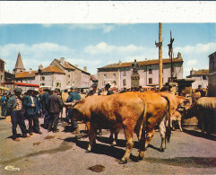 48 // CHATEAUNEUF DE RANDON   Jour De Foire, Marché, CPSM Grand Format - Chateauneuf De Randon