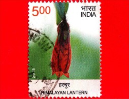 INDIA - USATO - 2013 - Fiori - Flowers - 11th Asian Pacific Postal Union Congress - Himalayan Lantern - 5 Rp - Used Stamps