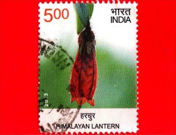 INDIA - USATO - 2013 - Fiori - Flowers - 11th Asian Pacific Postal Union Congress - Himalayan Lantern - 5 Rp - Usados