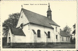 Lummen.  -   Kapel Van De Beukenboom  (uit Plakboek) - Lummen