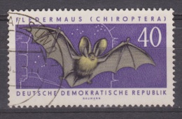 DDR Duitsland, Deutschland, Germany, Allemagne Gestempeld, Used ; Vleermuis, Chauve-souris, Murcielago, Fledermause, Bat - Fledermäuse