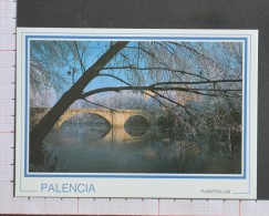 PUENTECILLAS - PALENCIA - 2 Scans (Nº08908) - Palencia