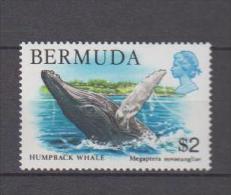 Bermudes YV 367 N 1978 Baleine - Wale