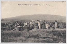 VERTUS Au Pays Du Champagne    Les Vendanges 1935 - Vertus