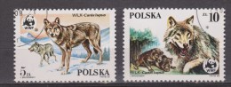 Polen, Poland, Pologne Gestempeld, Used ; Wolf, Lobo, Loup, Wulf, WNF, WWF - Gebruikt