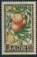 France : Algérie N° 281 X Année 1950 - Neufs