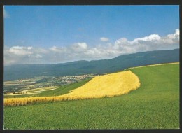 OUJON Chartreuse Les Blés Des Hauts De Bégaubert Auzier-le-Muids Nyon - Arzier-Le Muids