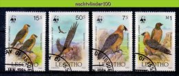 Mzi034sg WWF FAUNA ROOFVOGELS LAMMERGIER VULTURE BIRDS OF PREY GREIFVÖGEL AVES OISEAUX LESOTHO 1986 Gebr/used - Gebraucht