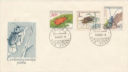 Czechoslovakia / First Day Cover (1962/18 B), Praha 1 (c) - Theme: Beetles (Pyrochroa..., Dytiscus..., Rosalia...) - Vegetables