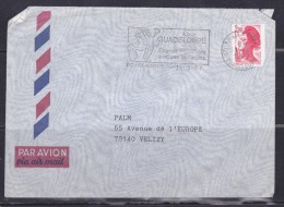 LETTRE A DESTINATION DE LA FRANCE CACHET POINT A PITRE DU 29.3.1987 FLAMME GUADELOUPE ÉTERNEL ÉTÉ AVEC SES BANANIERS - Andere & Zonder Classificatie