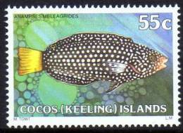 Cocos Islands 1979 Fishes 55c Yellow-tailed Tamarin MNH  SG 45 - Islas Cocos (Keeling)