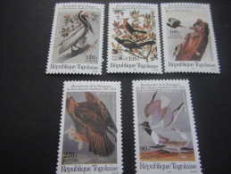 Togo -Birds - Specht- & Bartvögel