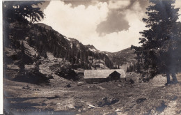 FLUMS - Obermolseralp - 1928 - Flums