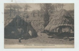 Conakry (Guinée) : GP Des étalages De Marchands à Camayenne En 1920 (animé) PF. - Guinea