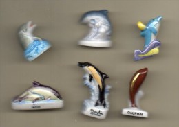 LOT 6 Fèves Brillantes DAUPHINS Dauphin De Séries Différentes - Animales