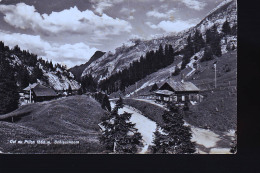 PILLON SCHLAUCHHORN - Horn