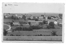 Carte Postale - MAISSIN - Panorama - CPA  // - Paliseul