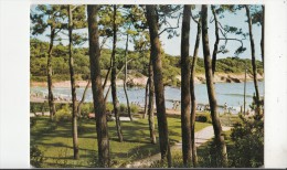 BF31945 Vaux Sur Mer C M Les Abords De La Plage   France Front/back Image - Vaux-sur-Mer