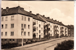 0-2130 PRENZLAU, Brüderstrasse, Neubauten, 1962 - Prenzlau
