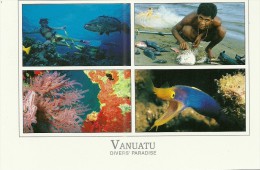 Vanuatu - CPM Neuve ** - Unused Postcard - Diver's Paradise - Faune Marine - Coral Life - Reef - Plongée - Diving - Vanuatu