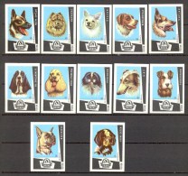 Matchbox Labels - DOGS - 12 Different Labels, Factory Of Matches ´Drava´ Osijek - Boites D'allumettes - Etiquettes