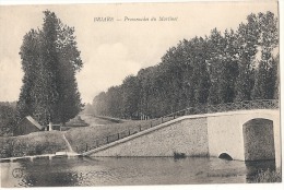 BRIARE  Promenade Du Martinet Neuve Excellent état - Briare