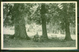 Hinterzarten - Sous Bois, Repos - Série Schwarzwald - Hinterzarten