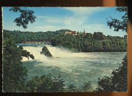 CPM Non écrite Suisse Rheinfall Mit Schloss Laufen Chute Du Rhin Et Château - Andere & Zonder Classificatie