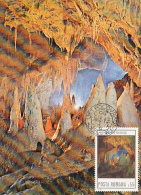 4605- POLOVRAGI CAVE, CARTES MAXIMUM, 1979, ROMANIA - Cartes-maximum (CM)