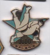 Judo , Salbris , Loir Et Cher - Judo