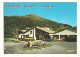 Cp, 64, Ascain, Village Vacances, "Le Saint Ignace" - Ascain