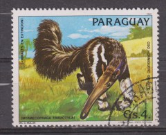 Paraguay Used; Miereneter, Fourmilier, Ant-eater, Oso Hormiguero - Autres