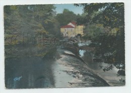 Buissssière-Poitevine (87) :Le Moulin Berger Vue  Du Déversoir En 1956 GF. - Bussiere Poitevine