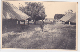 Central African Republic - Oubangui - Chari - Romanian Prince Bibescu Expedition - Centraal-Afrikaanse Republiek