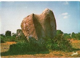 CPM   56    CARNAC     MENHIR    CHEVAL DE SAINT CORNELY - Dolmen & Menhirs
