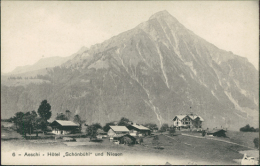 SUISSE AESCHI / Hôtel "Schönbühl" Und Niesen / - Aeschi Bei Spiez