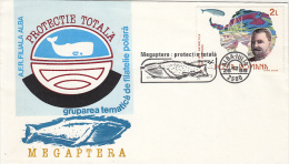 416FM- HUMPBACK WHALE, SPECIAL COVER, 1986, ROMANIA - Baleines